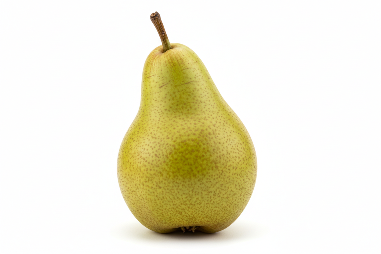 Packham pear picture