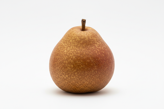 single image white background